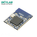 SKYLAB Cheap Long Distance Low Power Consumption Nordic nrf52840 BLE 5.0 Bluetooth Module in shenzhen